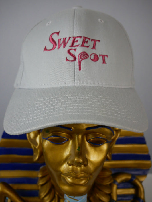 SWEET SPOT APPAREL RETRO GOLF CAP (GRAY)/NEW