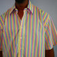 CELEBRITY THIN STRIPED SHORT SLEEVED DRESS SHIRT (WHITE)/NEW